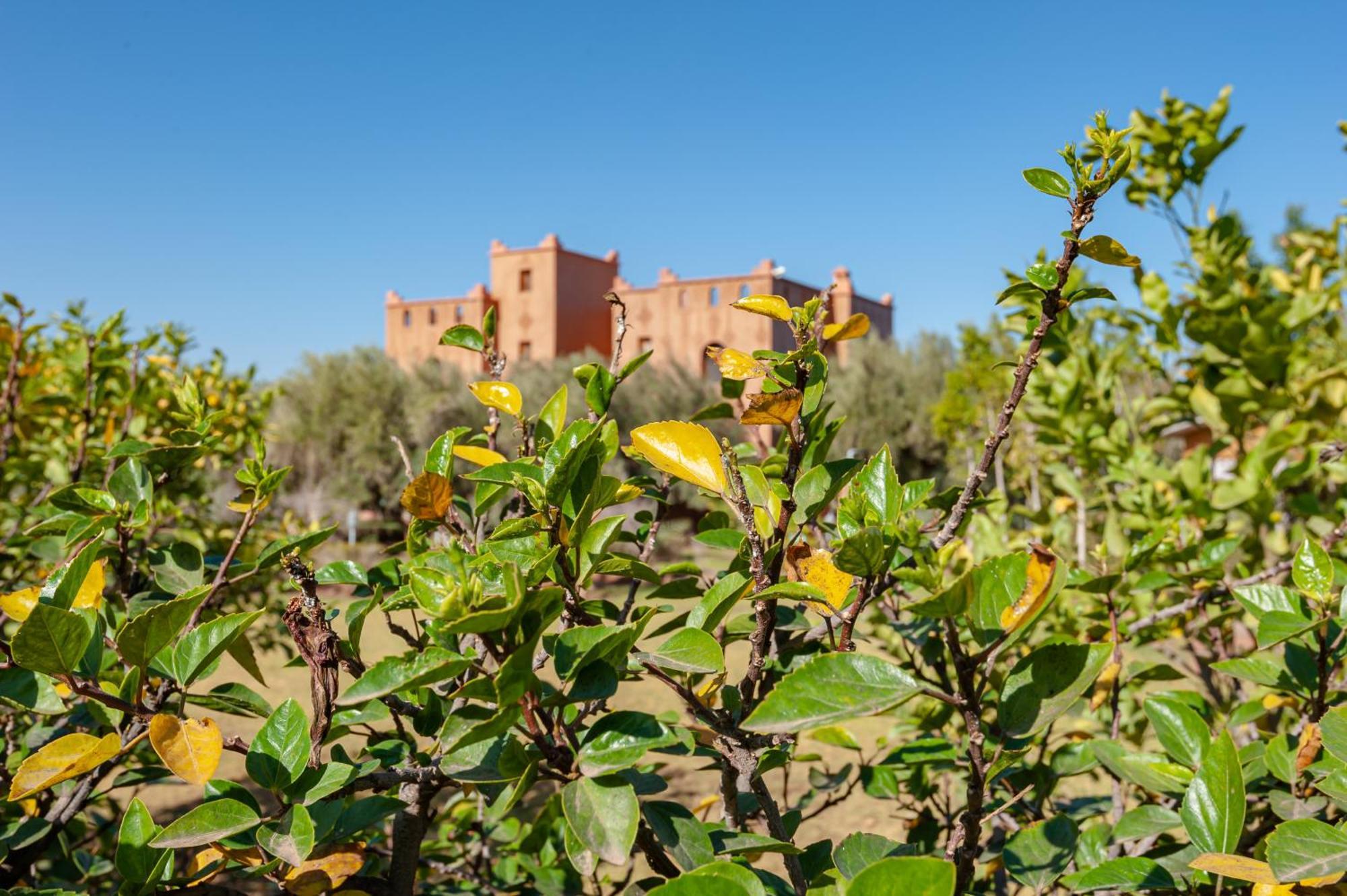 Ferme Sidi Safou & Spa Marrakesh Exterior photo