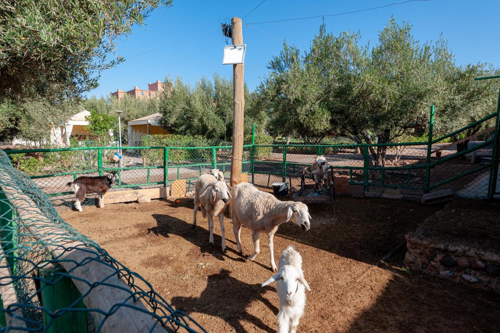 Ferme Sidi Safou & Spa Marrakesh Exterior photo