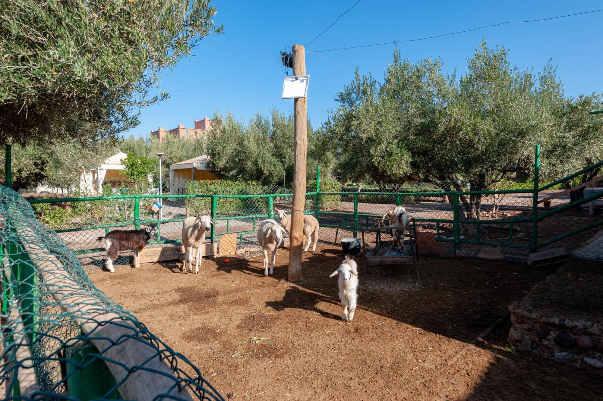 Ferme Sidi Safou & Spa Marrakesh Exterior photo