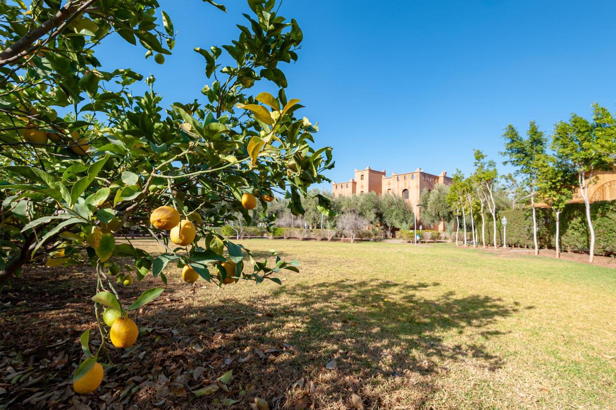 Ferme Sidi Safou & Spa Marrakesh Exterior photo