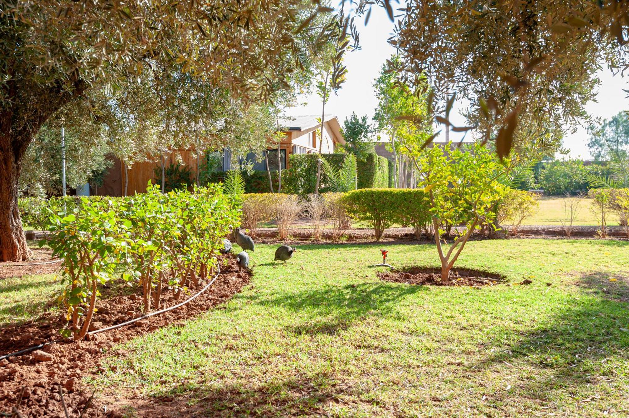 Ferme Sidi Safou & Spa Marrakesh Exterior photo