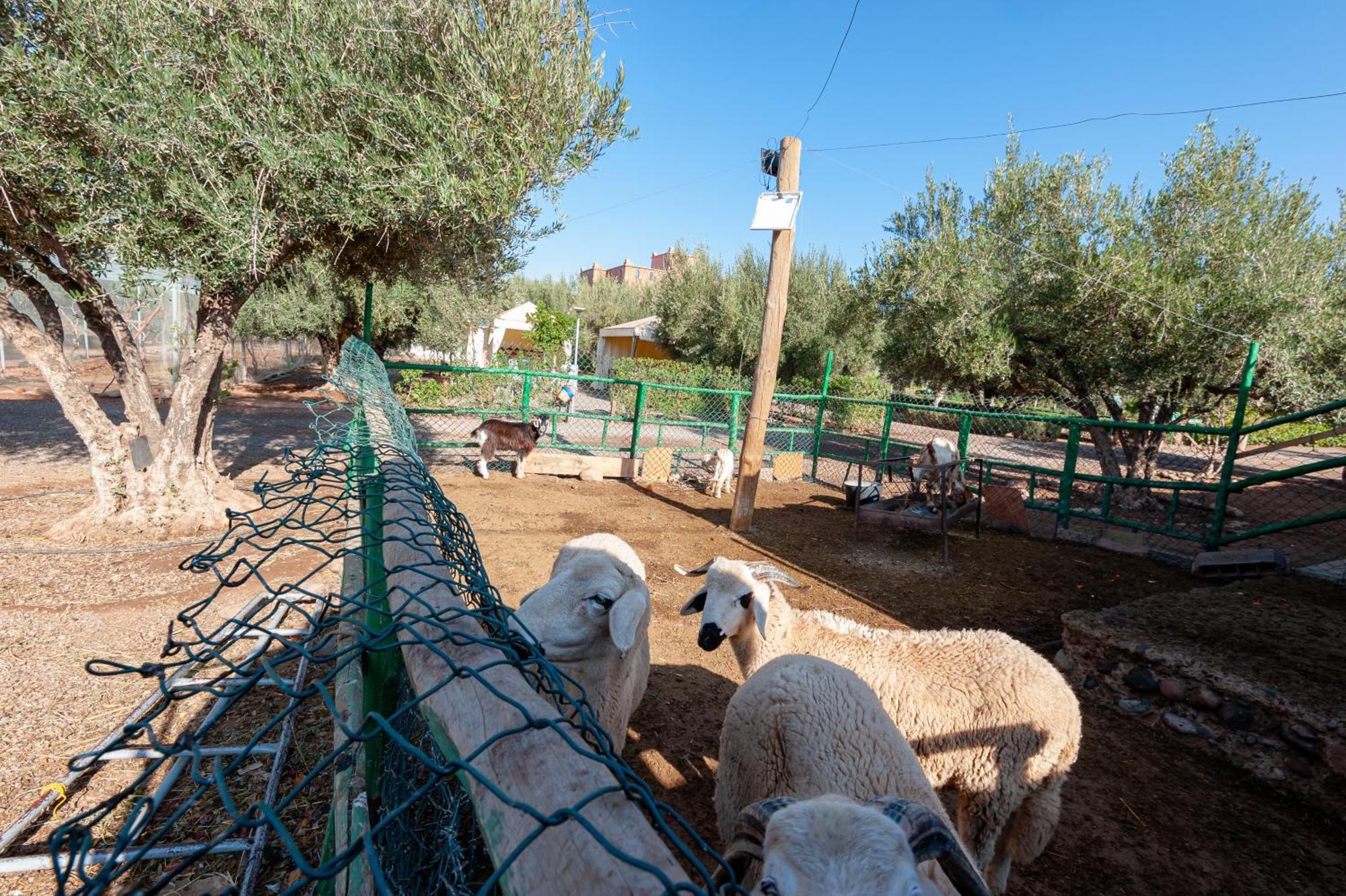 Ferme Sidi Safou & Spa Marrakesh Exterior photo